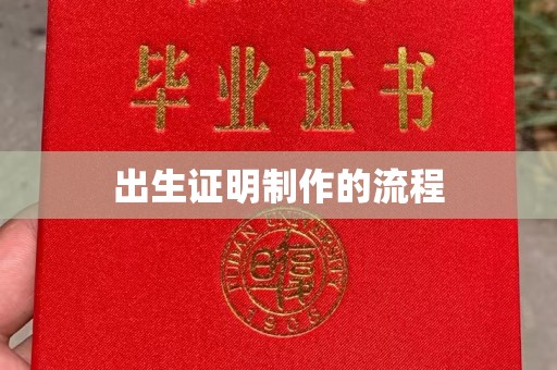 平远出生证明制作的流程