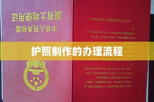 平远护照制作的办理流程