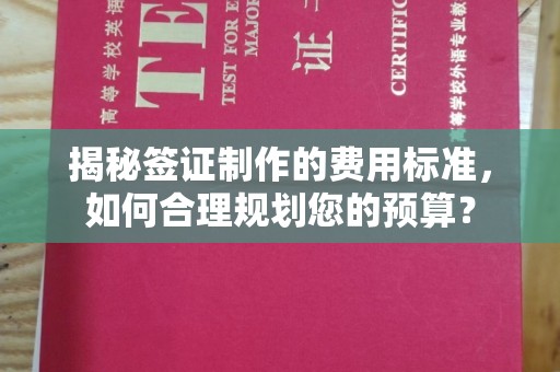 平远揭秘签证制作的费用标准，如何合理规划您的预算？