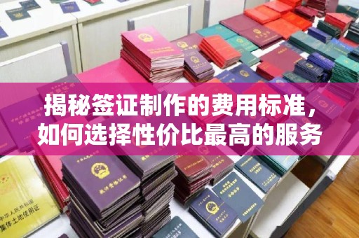 平远揭秘签证制作的费用标准，如何选择性价比最高的服务？