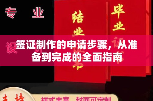 平远签证制作的申请步骤，从准备到完成的全面指南