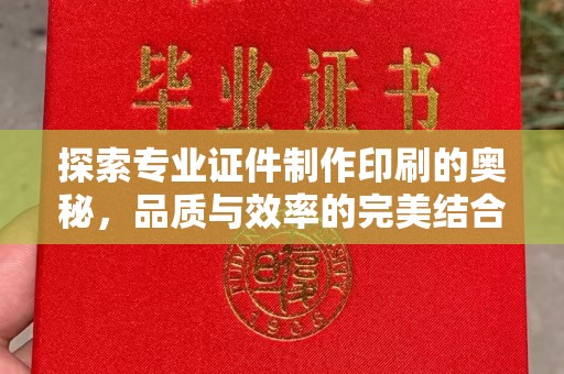 平远探索专业证件制作印刷的奥秘，品质与效率的完美结合