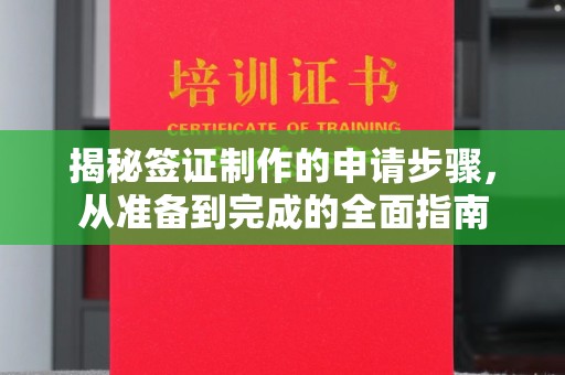 平远揭秘签证制作的申请步骤，从准备到完成的全面指南