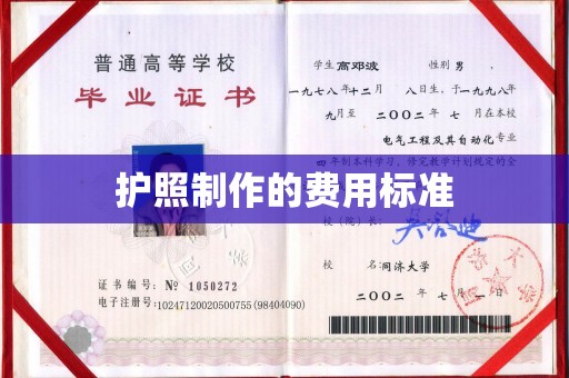 平远护照制作的费用标准