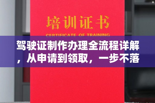 平远驾驶证制作办理全流程详解，从申请到领取，一步不落