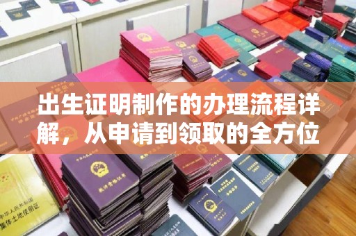 平远出生证明制作的办理流程详解，从申请到领取的全方位指南