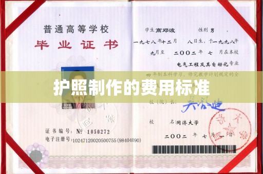平远护照制作的费用标准