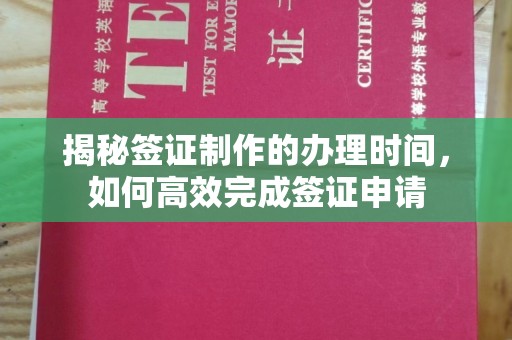 平远揭秘签证制作的办理时间，如何高效完成签证申请