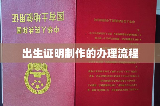 平远出生证明制作的办理流程